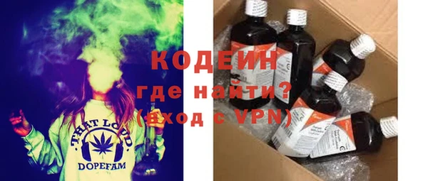 индика Сатка