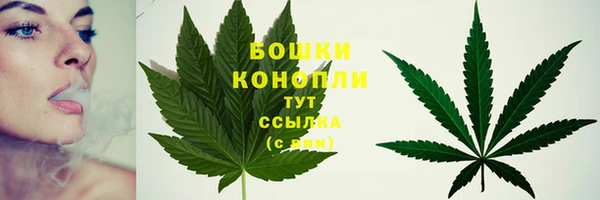 дурь Михайловка