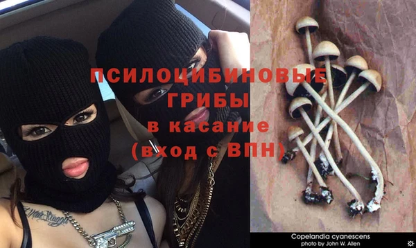jwh Медвежьегорск