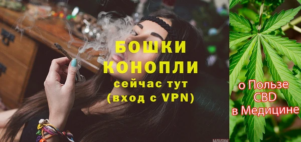 стафф Мегион