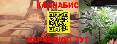 spice Гай
