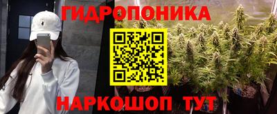 spice Гай