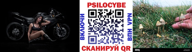 Псилоцибиновые грибы ЛСД  где купить наркоту  Алушта 