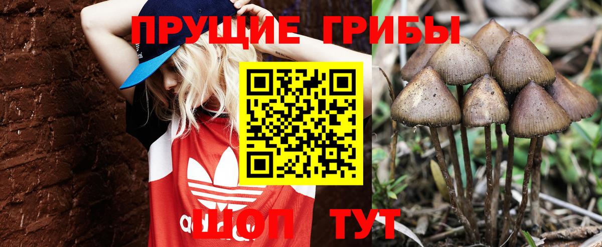 Псилоцибиновые грибы GOLDEN TEACHER Алушта